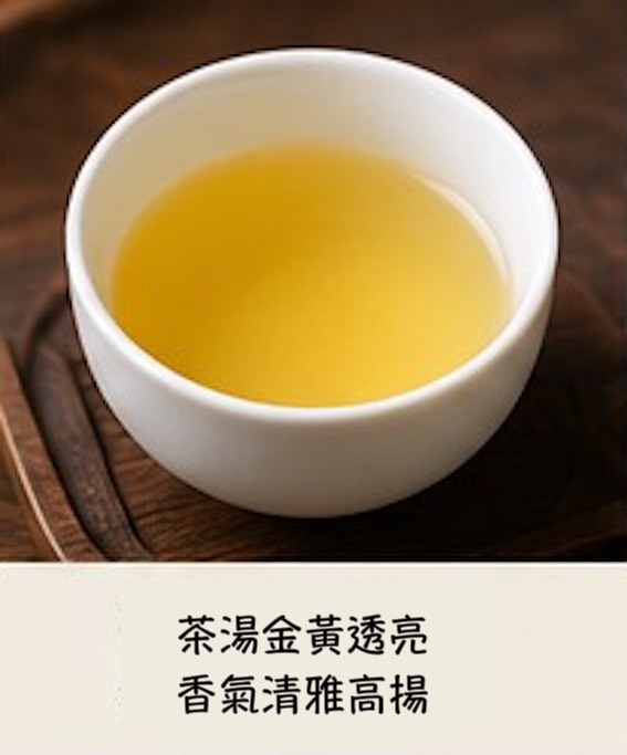 梨山高山茶