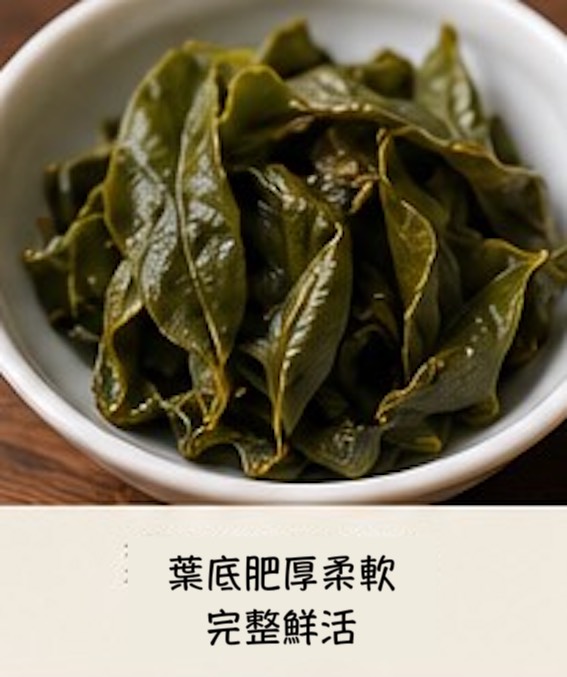 梨山高山茶