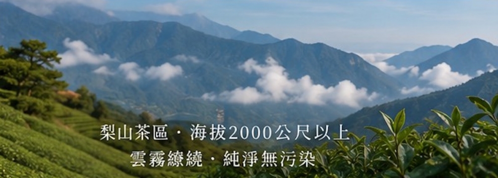 梨山高山茶